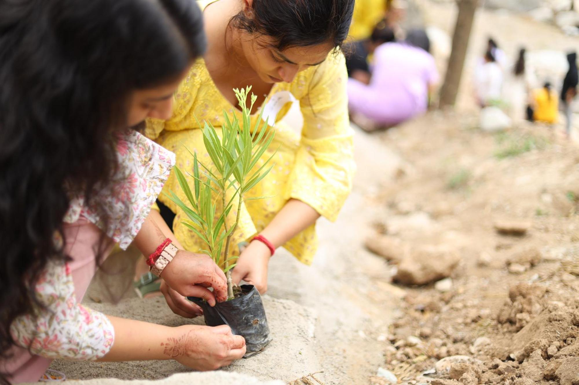 Dev Bhoomi Farms & Cottages Dharamszala Kültér fotó